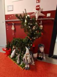 img20241220101146.jpg-Opłatkowe spotkania na Helclów.