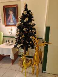 img20241220101406.jpg-Opłatkowe spotkania na Helclów.