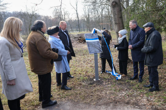 bs-250202-bsk_8630.jpg-610 lat Swoszowic, Mazur