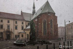 20241121-bsk_0296.jpg-śnieg,Kraków