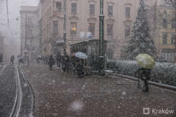 20241121-bsk_0304.jpg-śnieg,Kraków