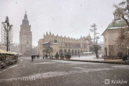 20241121-bsk_0384.jpg-śnieg,Kraków