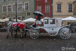 20241121-bsk_0402.jpg-śnieg,Kraków