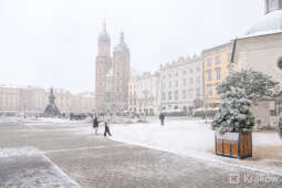 20241121-bsk_0406.jpg-śnieg,Kraków