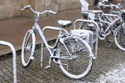 20241121-bsk_0441.jpg-śnieg,Kraków