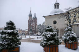 20250115-bsk_3315.jpg-śnieg,Kraków