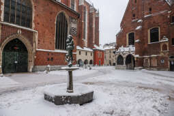 20250115-bsk_3364.jpg-śnieg,Kraków