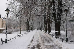 20250115-bsk_3386.jpg-śnieg,Kraków