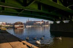 20250120-bsk_4715.jpg-śnieg,Kraków