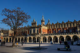 20250204-bsk_9269.jpg-słoneczni, przedwiośnie, kraków, kolorowo