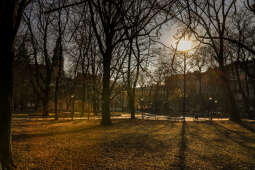 20250204-bsk_9303.jpg-słoneczni, przedwiośnie, kraków, kolorowo