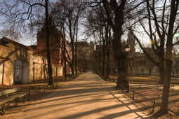 20250204-bsk_9306.jpg-słoneczni, przedwiośnie, kraków, kolorowo