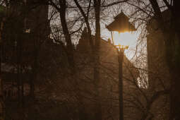 20250204-bsk_9316.jpg-słoneczni, przedwiośnie, kraków, kolorowo