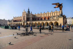 20250210-bsk_0978.jpg-Spacer,kraków,zima,słońce