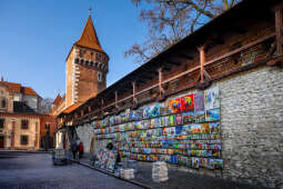 20250210-bsk_0989.jpg-Spacer,kraków,zima,słońce