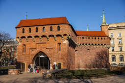20250210-bsk_1014.jpg-Spacer,kraków,zima,słońce