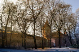 20250210-bsk_1020.jpg-Spacer,kraków,zima,słońce
