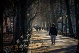 20250210-bsk_1117.jpg-Spacer,kraków,zima,słońce
