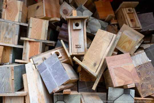 Miszalski, walentynki, budki, lęgowe, Domański, MPO, zdjęcia, po krakosku