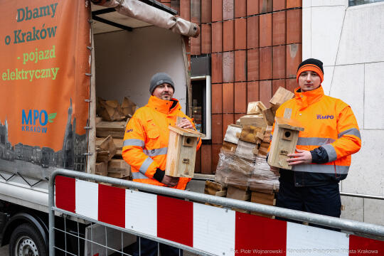 Miszalski, walentynki, budki, lęgowe, Domański, MPO, zdjęcia, po krakosku