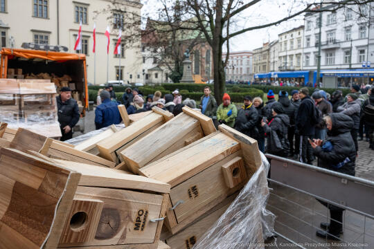 Miszalski, walentynki, budki, lęgowe, Domański, MPO, zdjęcia, po krakosku