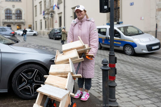 Miszalski, walentynki, budki, lęgowe, Domański, MPO, zdjęcia, po krakosku