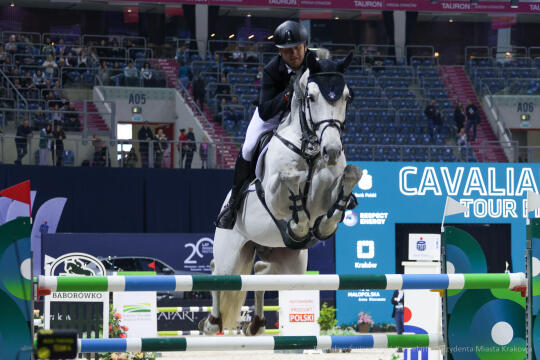 bs-250223-bsk_5386.jpg-Cavaliada, Tauron