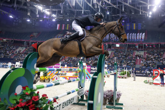 bs-250223-bsk_5449.jpg-Cavaliada, Tauron