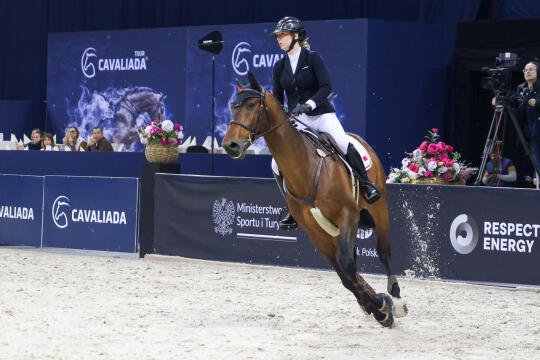 bs-250223-bsk_5462.jpg-Cavaliada, Tauron