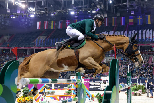 bs-250223-bsk_5514.jpg-Cavaliada, Tauron