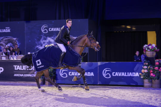 bs-250223-bsk_5832.jpg-Cavaliada, Tauron