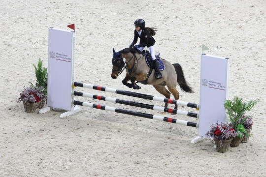 bs-250223-bsk_5911.jpg-Cavaliada, Tauron