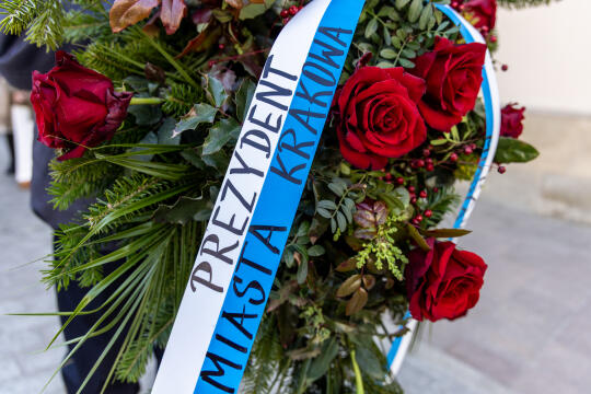 jg_250319_8l8a2590.jpg-Kwiaty, Miszalski, Kosek