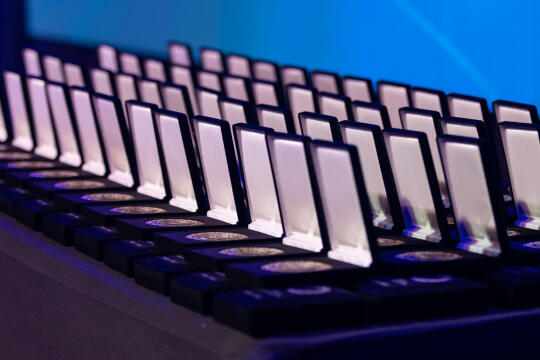 jg_250322_oto_4013.jpg-Hutnik, Sęk