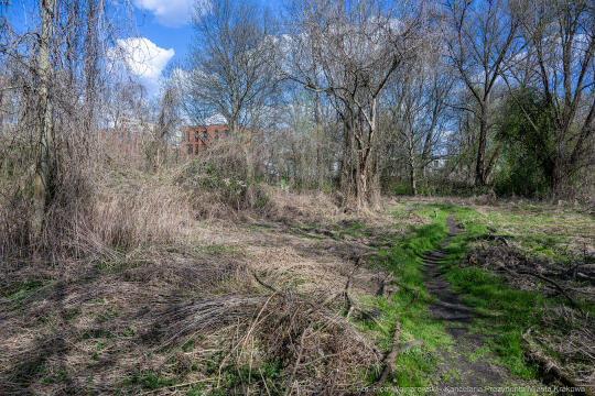 PW_457012_fot. Piotr Wojnarowski.jpg-Paprociowy Las, Miszalski, Mazur, mieszkańcy, Czyżyny