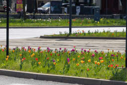 20250414-BSK_8297.jpg