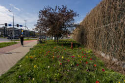 20250414-BSK_8390.jpg
