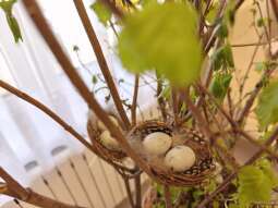 0uTzZQFM.jpg-Wielkanocne życzenia.