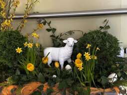 43g5OfUS.jpg-Wielkanocne życzenia.