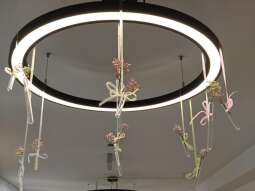 vyr55s_i.jpg-Wielkanocne życzenia.