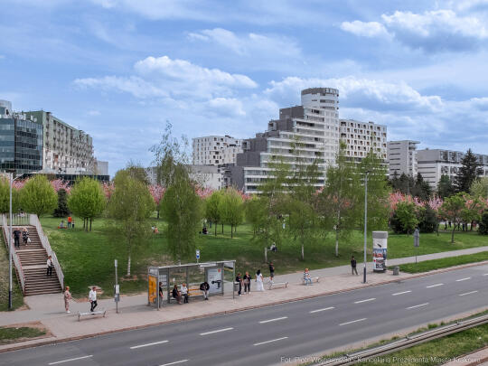 PW_470_002_fot. Piotr Wojnarowski.jpg-kwitnące wiśnie, aleja, kwiaty, instagram, al. Armii Krajowej