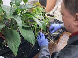 20250410_094901.jpg-Sezon wiosenny hortiterapii rozpoczęty !