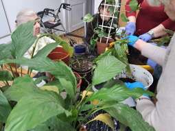 20250410_094926.jpg-Sezon wiosenny hortiterapii rozpoczęty !