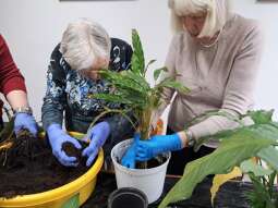 20250410_095004.jpg-Sezon wiosenny hortiterapii rozpoczęty !