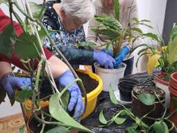 20250410_095014.jpg-Sezon wiosenny hortiterapii rozpoczęty !