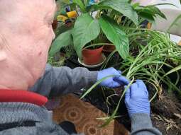 20250410_095119.jpg-Sezon wiosenny hortiterapii rozpoczęty !