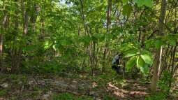 Sprzatanie Olszy StoneX (3).jpg