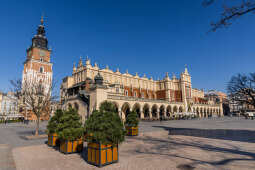 20250320-BSK_4615.jpg-Rynek Odbicia