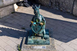 20250321-BSK_5402.jpg-Rynek Odbicia