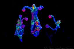 PW_483_003_fot. Piotr Wojnarowski.jpg-Art Color Ballet, zdjęcia, występ, Manggha